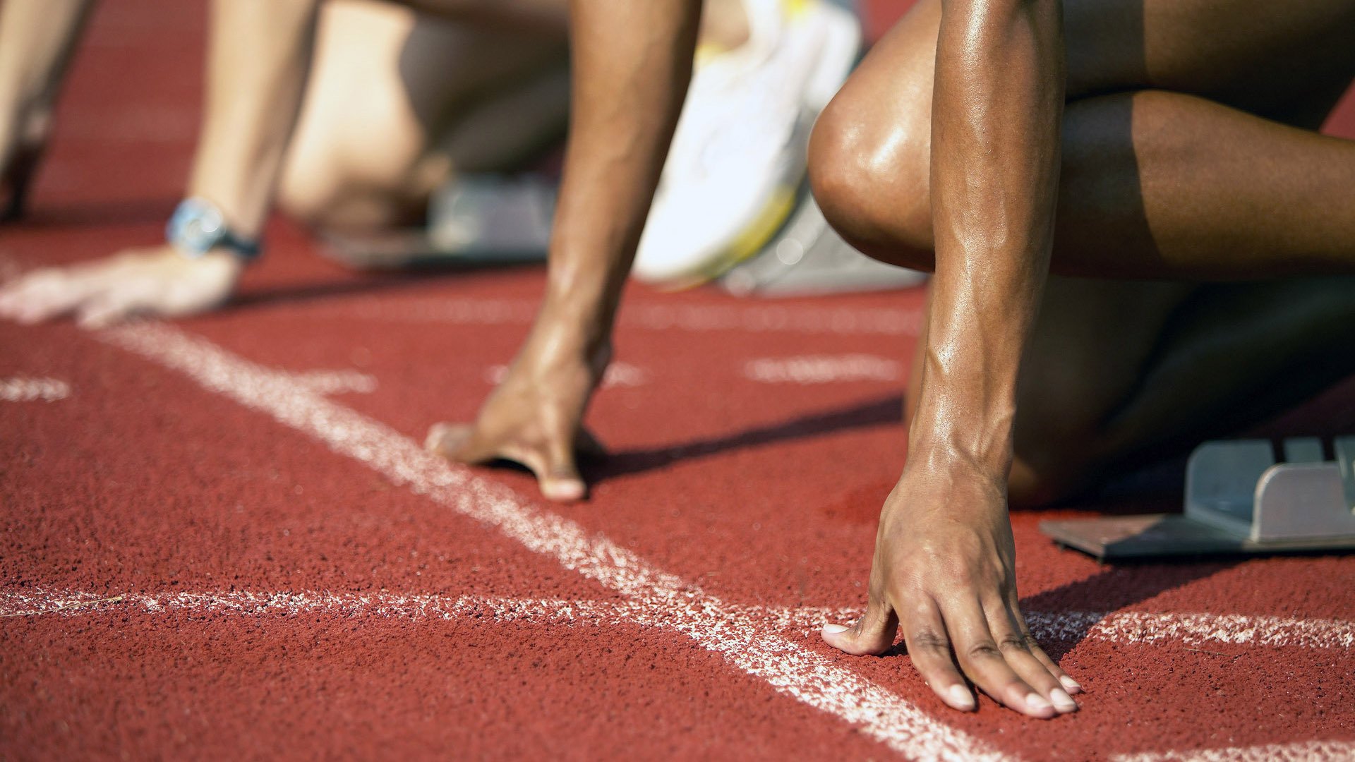 潜力黑马：一批“黑马”新星大揭秘，未来可期，黑马潜力股是什么意思